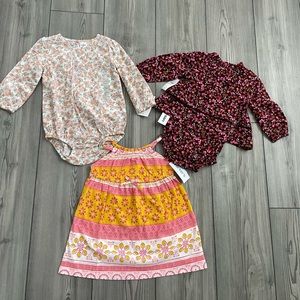 Baby Girl clothes (Old Navy, Carters, Oshkosh)